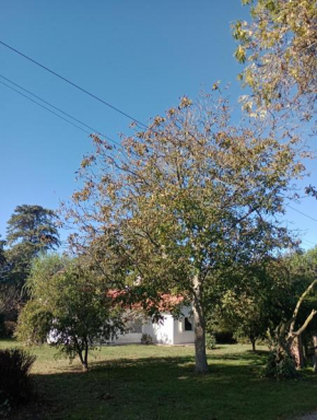 Casa de campo Dimedonde